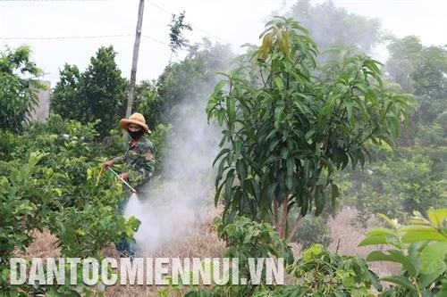 ការ​បង្កបង្កើនផល​ស្រូវ​និង​ដំណាំ​ហូប​ផ្លែ​ពេល​ដី​រីងស្ងួត​ ​ជ្រាប​ជាតិ​ប្រៃ