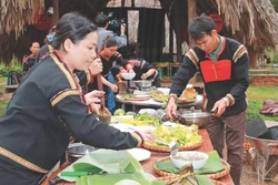 ជនជាតិ អេដេ កែចៃ្ន មុខម្ហូបត្រប់ពុតលំញង សម្លត្រីទឹកជ្រោះ